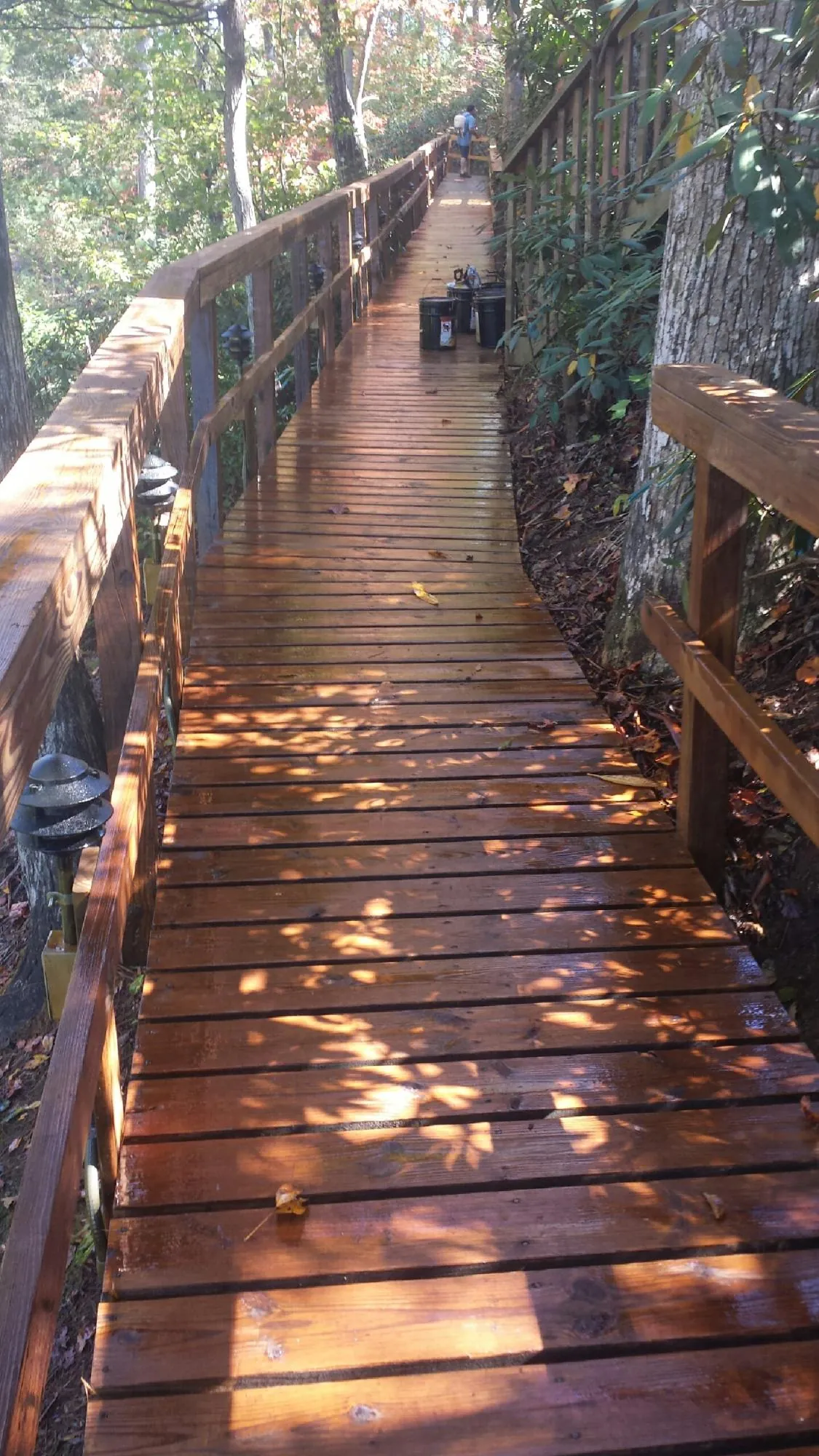 Freshly stained wood walkway winding through the woods in Lewisburg